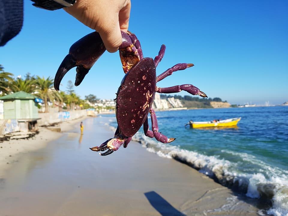 Cabanas Aire Marino 알가로보 외부 사진